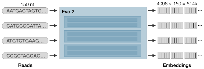 Harvest activations from Lungfish data