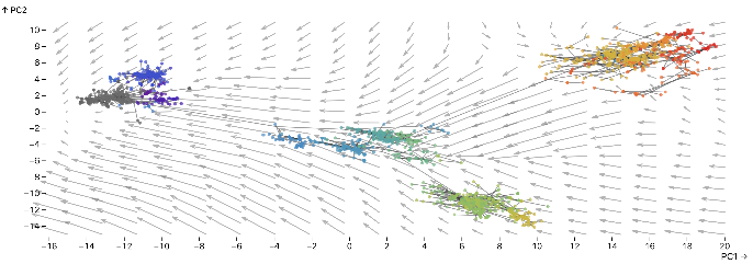 Evolutionary trajectories as vector field